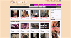 Desktop Screenshot of amclam.com